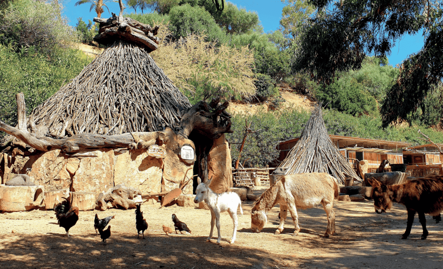 Brochure JANA febbraio 2026 sbloccato page34 iqwwmage Jana Arbatax