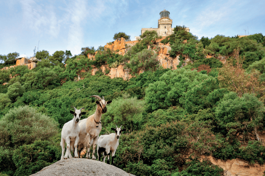 Brochure JANA febbraio 2026 sbloccato page3rrr3 image Jana Arbatax